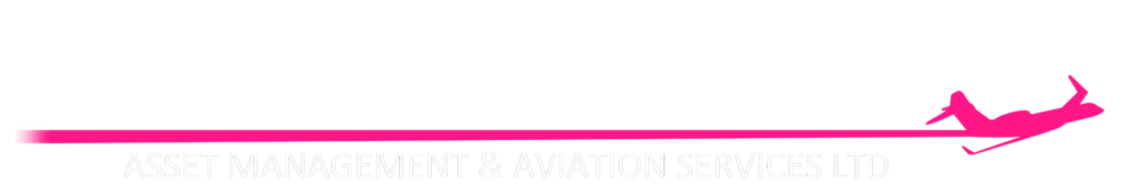 Professional Aviation Services